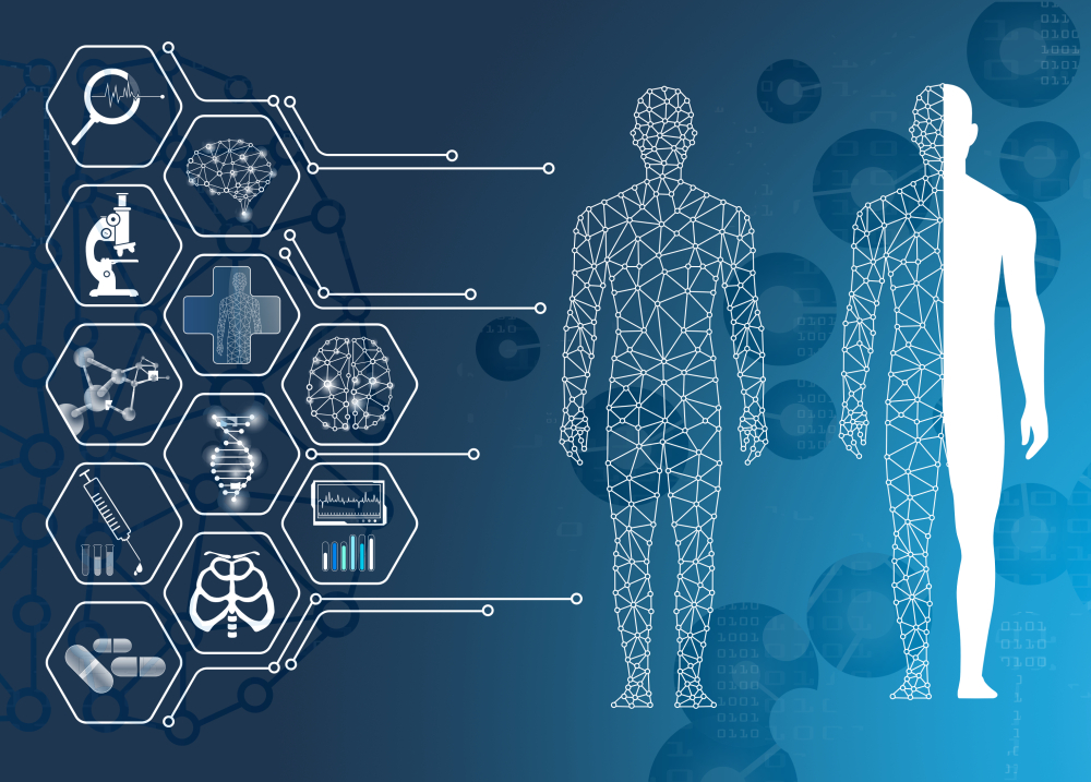 Die Mehrfrequenz-Bio-Impedanz-Analyse (MF-BIA)